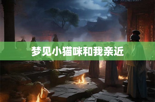 梦见小猫咪和我亲近