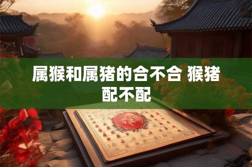 属猴和属猪的合不合 猴猪配不配