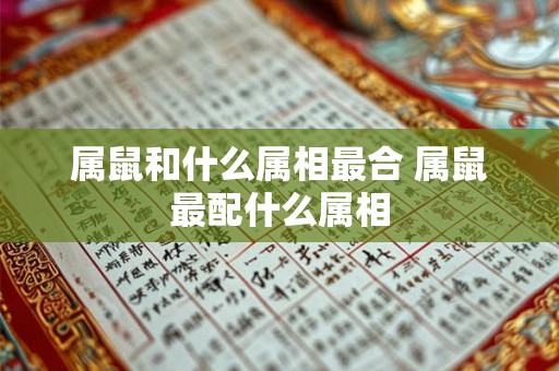 属鼠和什么属相最合 属鼠最配什么属相