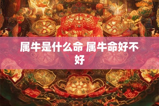 属牛是什么命 属牛命好不好