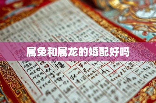 属兔和属龙的婚配好吗