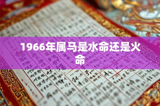 1966年属马是水命还是火命