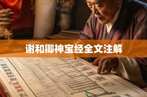 谢和卿神宝经全文注解 谢和卿神宝经全文注解