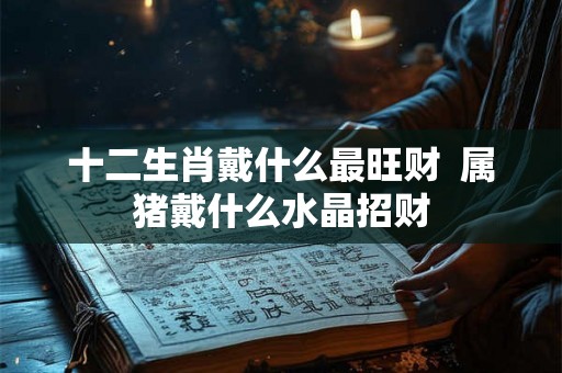 十二生肖戴什么最旺财  属猪戴什么水晶招财