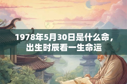 1978年5月30日是什么命，出生时辰看一生命运