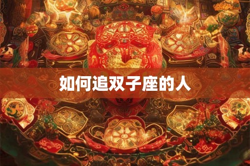如何追双子座的人