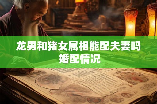 龙男和猪女属相能配夫妻吗 婚配情况