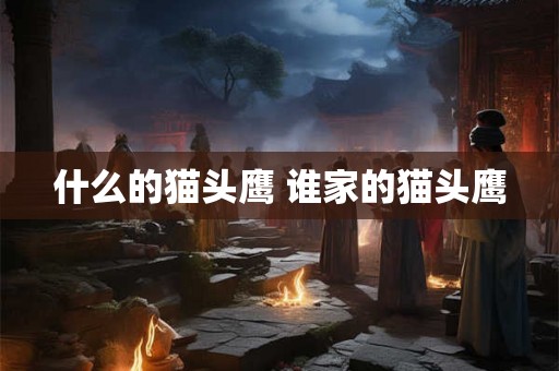 什么的猫头鹰 谁家的猫头鹰
