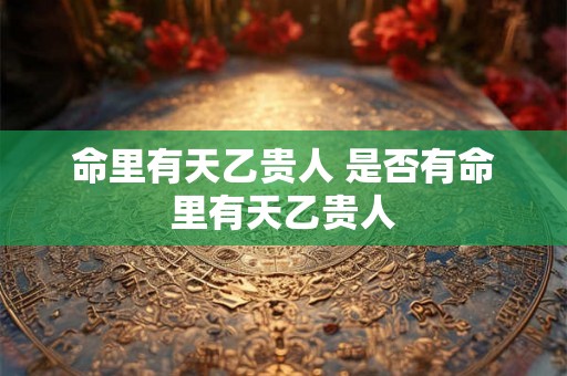 命里有天乙贵人 是否有命里有天乙贵人