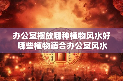 办公室摆放哪种植物风水好 哪些植物适合办公室风水 办公室摆放哪种植物风水好 哪些植物适合办公室风水