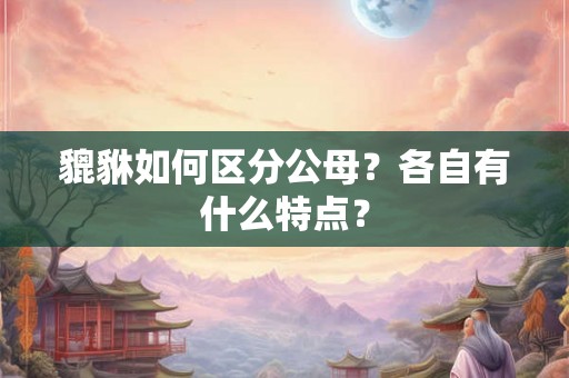 貔貅如何区分公母？各自有什么特点？