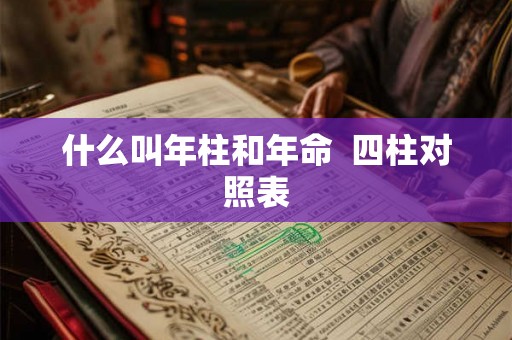 什么叫年柱和年命  四柱对照表