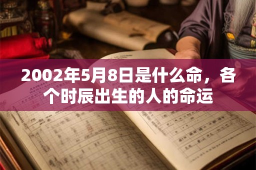 2002年5月8日是什么命，各个时辰出生的人的命运