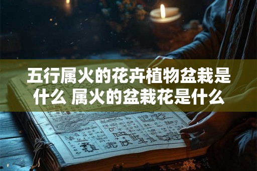 五行属火的花卉植物盆栽是什么 属火的盆栽花是什么
