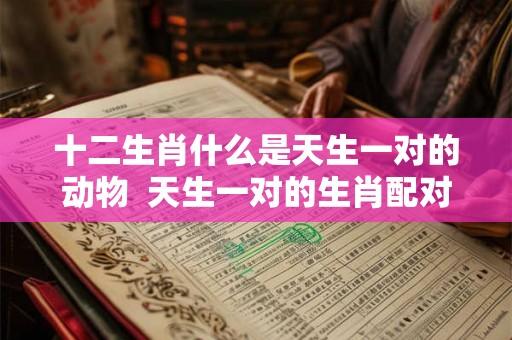 十二生肖什么是天生一对的动物  天生一对的生肖配对