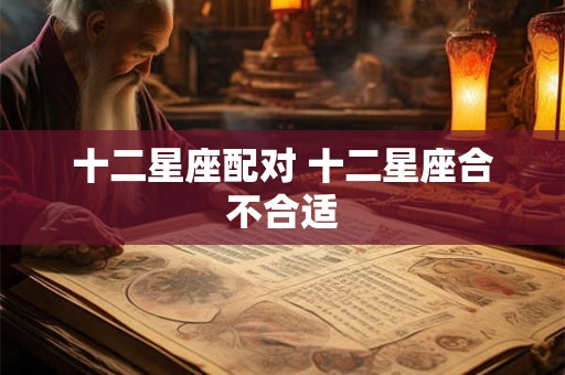 十二星座配对 十二星座合不合适 十二星座配对 十二星座合不合适