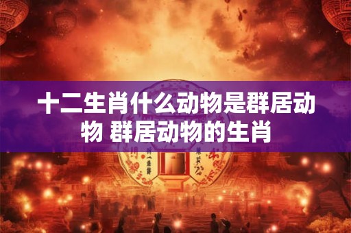 十二生肖什么动物是群居动物 群居动物的生肖 十二生肖什么动物是群居动物 群居动物的生肖