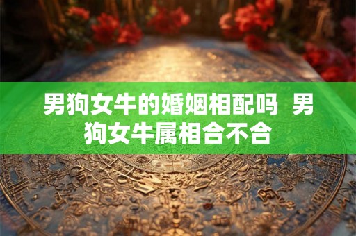 男狗女牛的婚姻相配吗  男狗女牛属相合不合