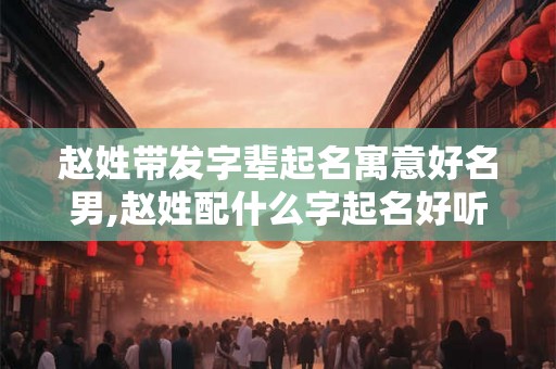赵姓带发字辈起名寓意好名男,赵姓配什么字起名好听