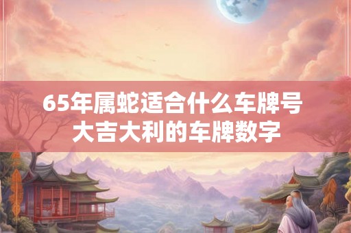 65年属蛇适合什么车牌号 大吉大利的车牌数字
