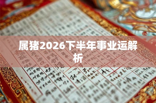 属猪2026下半年事业运解析