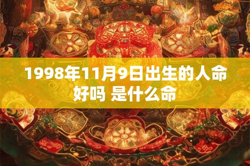 1998年11月9日出生的人命好吗 是什么命