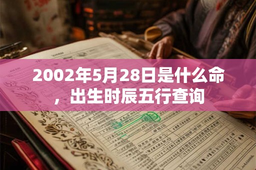 2002年5月28日是什么命，出生时辰五行查询