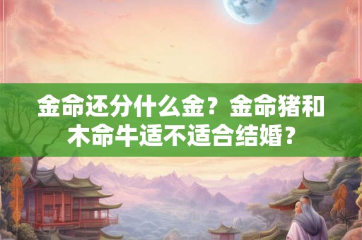 金命还分什么金？金命猪和木命牛适不适合结婚？