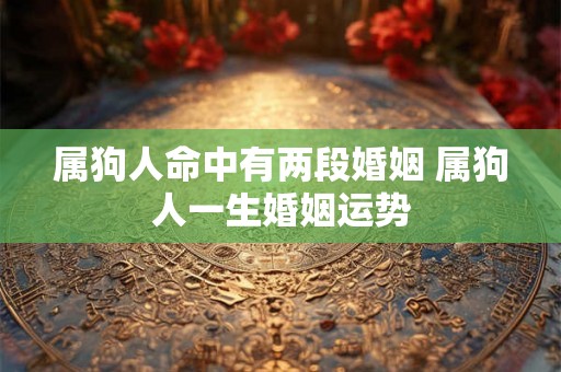 属狗人命中有两段婚姻 属狗人一生婚姻运势 属狗人命中有两段婚姻 属狗人一生婚姻运势