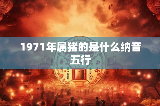 1971年属猪的是什么纳音五行