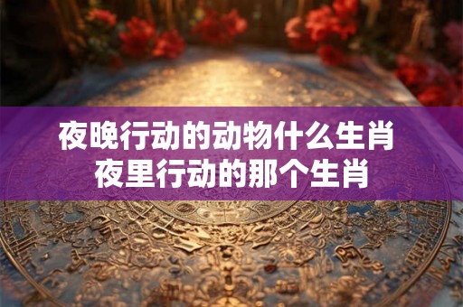 夜晚行动的动物什么生肖 夜里行动的那个生肖