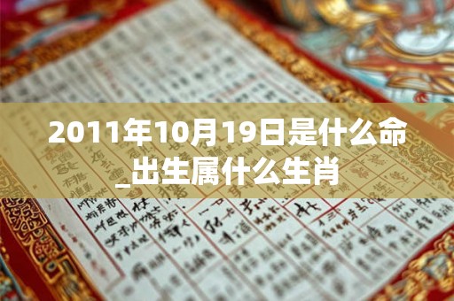 2011年10月19日是什么命_出生属什么生肖