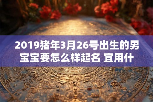 2019猪年3月26号出生的男宝宝要怎么样起名 宜用什么字呢 2019猪年3月26号出生的男宝宝要怎么样起名 宜用什么字呢