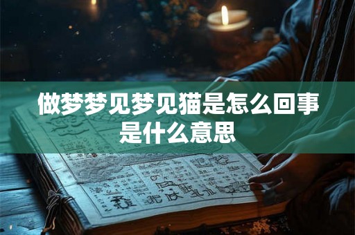 做梦梦见梦见猫是怎么回事是什么意思