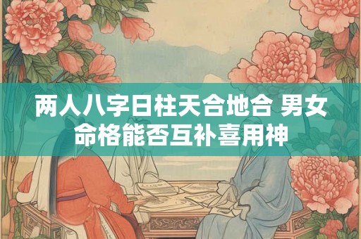 两人八字日柱天合地合 男女命格能否互补喜用神