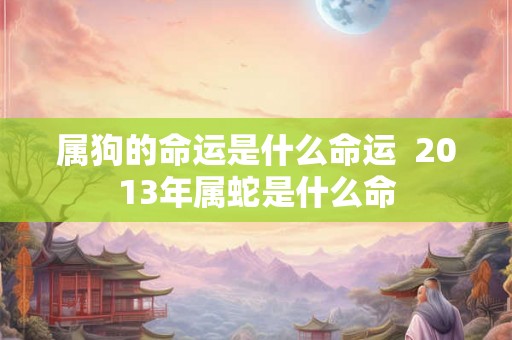 属狗的命运是什么命运 2013年属蛇是什么命 属狗的命运是什么命运 2013年属蛇是什么命