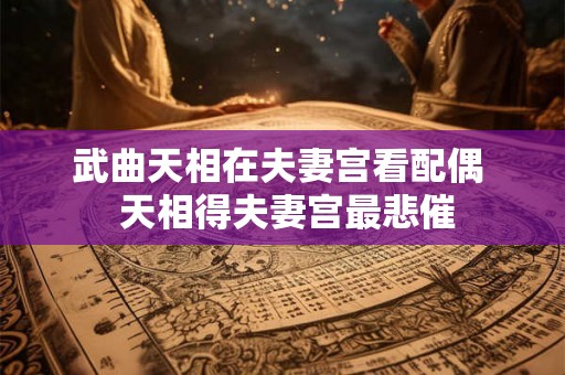 武曲天相在夫妻宫看配偶 天相得夫妻宫最悲催 武曲天相在夫妻宫看配偶 天相得夫妻宫最悲催