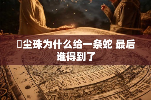 雮尘珠为什么给一条蛇 最后谁得到了 雮尘珠为什么给一条蛇 最后谁得到了