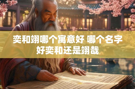 奕和翊哪个寓意好 哪个名字好奕和还是翊哉 奕和翊哪个寓意好 哪个名字好奕和还是翊哉