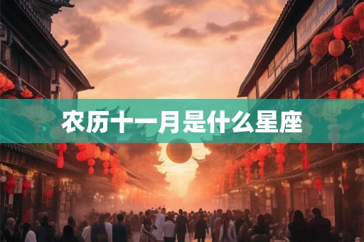 农历十一月是什么星座