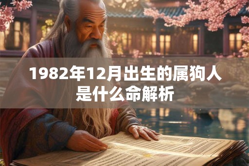 1982年12月出生的属狗人是什么命解析 1982年12月出生的属狗人是什么命解析
