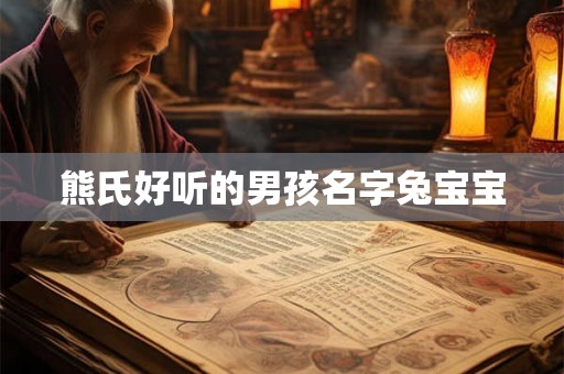 熊氏好听的男孩名字兔宝宝