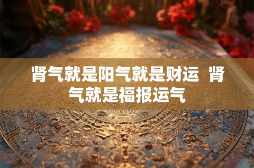 肾气就是阳气就是财运  肾气就是福报运气