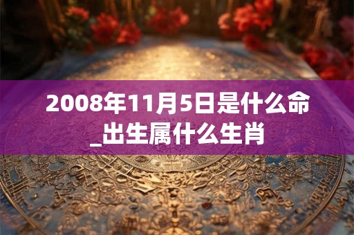 2008年11月5日是什么命_出生属什么生肖