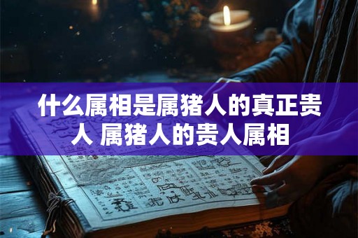 什么属相是属猪人的真正贵人 属猪人的贵人属相 什么属相是属猪人的真正贵人 属猪人的贵人属相