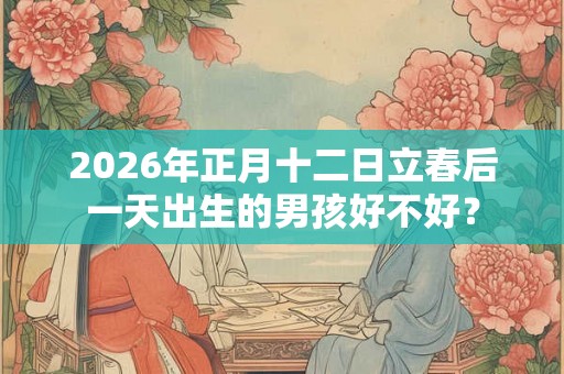 2026年正月十二日立春后一天出生的男孩好不好？
