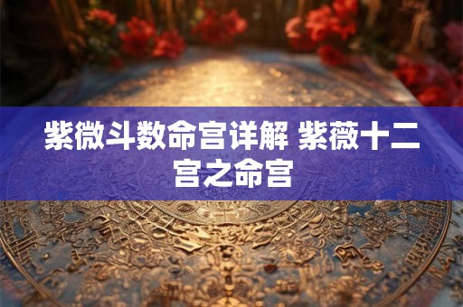 紫微斗数命宫详解 紫薇十二宫之命宫