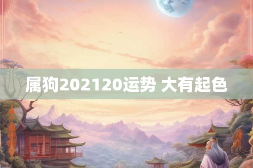 属狗202120运势 大有起色