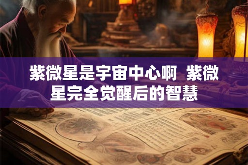 紫微星是宇宙中心啊  紫微星完全觉醒后的智慧