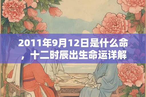 2011年9月12日是什么命，十二时辰出生命运详解